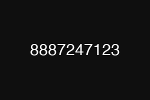 8887247123