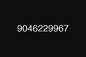 9046229967