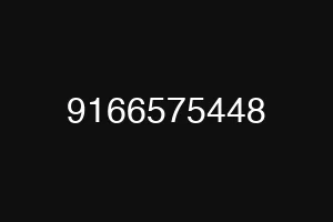 9166575448
